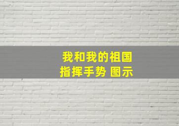 我和我的祖国指挥手势 图示